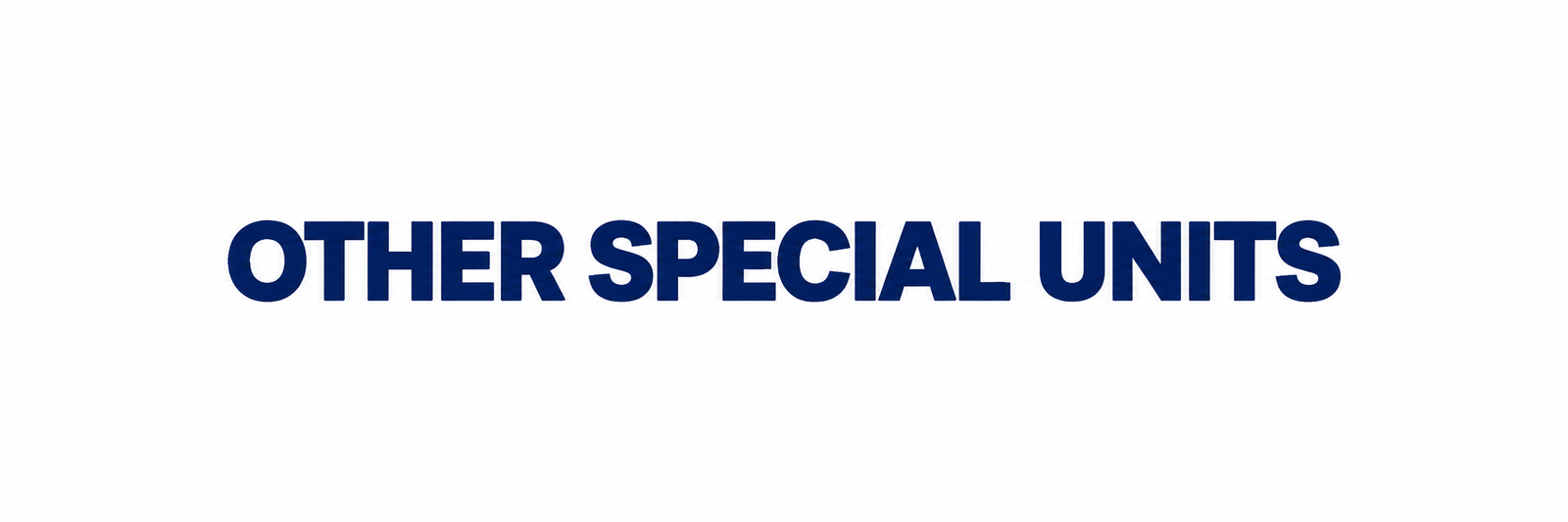 Other Special Units